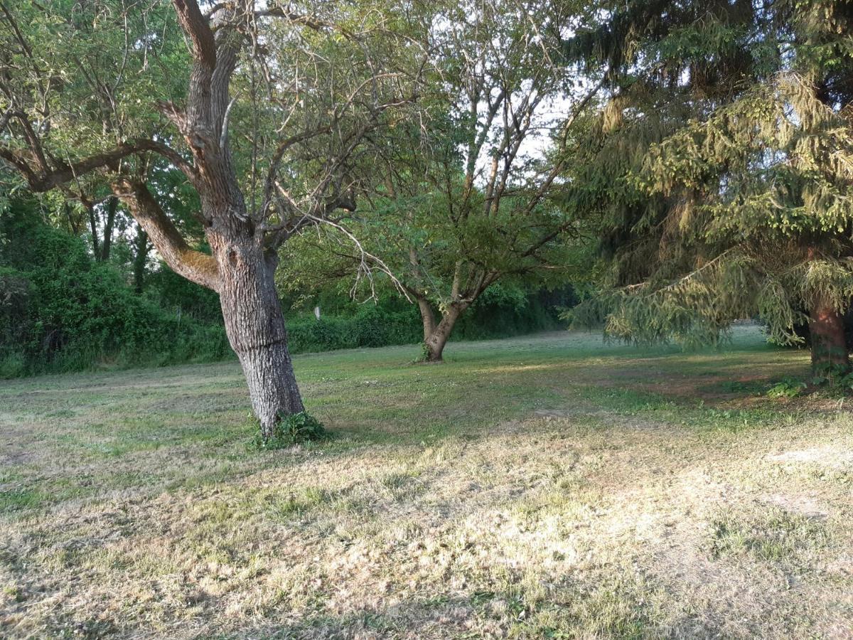 Villiers-le-Morhier Au Charme De L'Eure Bed & Breakfast エクステリア 写真