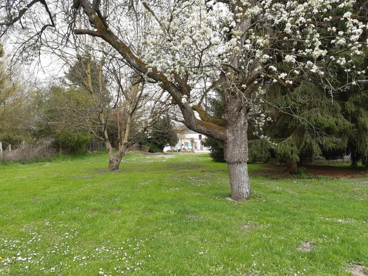 Villiers-le-Morhier Au Charme De L'Eure Bed & Breakfast エクステリア 写真